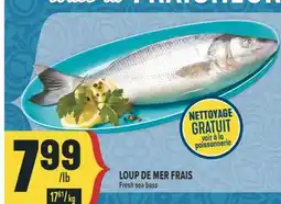 Marché Adonis LOUP DE MER FRAIS | Fresh sea bass offer