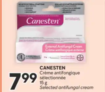 Brunet CANESTEN Crème antifongique sélectionnée offer