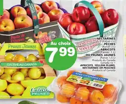 Marches Tradition NECTARINES (Panier 2 L) Canada no 1 APRICOTS, YELLOW PLUMS, NECTARINES OR PEACHES Products of Canada offer