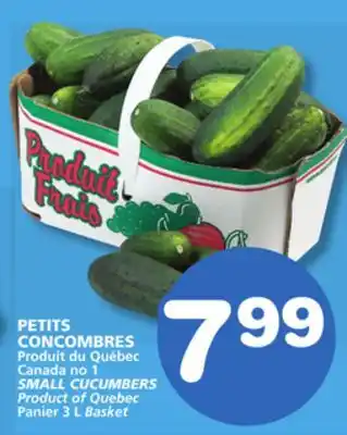 Marches Tradition SMALL CUCUMBERS offer