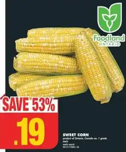 No Frills Sweet Corn offer