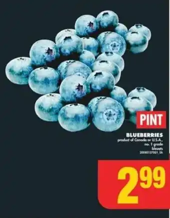 No Frills BLUEBERRIES offer