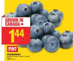 No Frills BLUEBERRIES, PINT offer