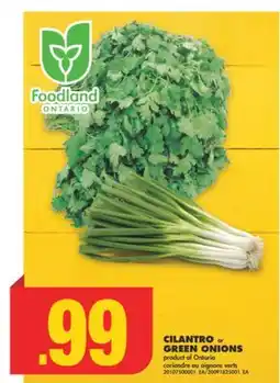 No Frills CILANTRO or GREEN ONIONS offer