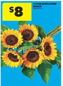 Real Canadian Superstore 5 STEM SUNFLOWER BUNCH offer