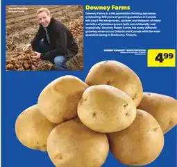 Real Canadian Superstore FARMER'S MARKET WHITE POTATOES, 10 LB BAG offer