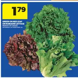 Real Canadian Superstore GREEN OR RED LEAF OR ROMAINE LETTUCE offer