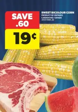Real Canadian Superstore SWEET BICOLOUR CORN offer