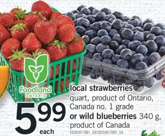 Fortinos LOCAL STRAWBERRIES offer