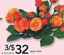 Fortinos SPRAY ROSES offer