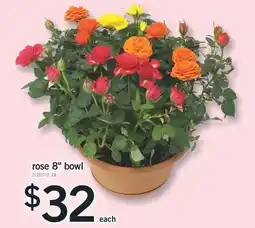 Fortinos rose 8 bowl offer
