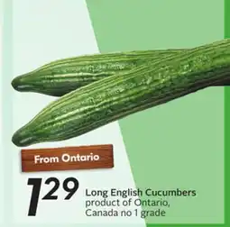Sobeys Long English Cucumbers offer