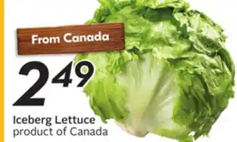 Sobeys Iceberg Lettuce offer