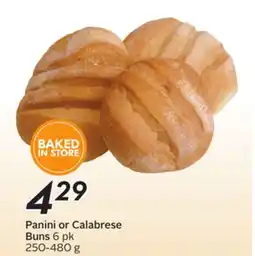 Sobeys Panini or Calabrese Buns offer