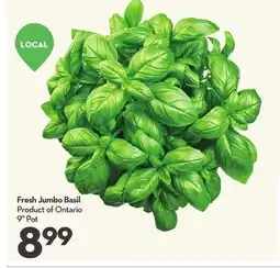 Longo's Fresh Jumbo Basil offer