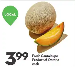 Longo's Fresh Cantaloupe offer