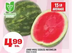 Metro JUMBO WHOLE SEEDLESS WATERMELON offer