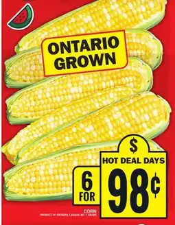 Food Basics CORN offer