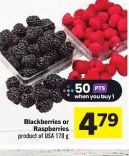 Foodland Blackberries or Raspberries offer