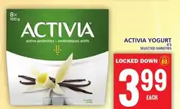 Food Basics ACTIVIA YOGURT offer