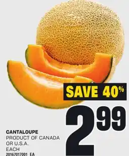 Loblaws CANTALOUPE, EACH offer