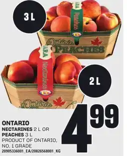Loblaws NECTARINES 2 L OR PEACHES 3 L offer