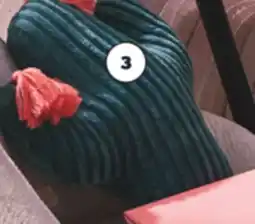 Real Canadian Superstore LIFE AT HOME NOVELTY CUSHIONS offer