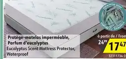 Sushi Shop Eucalyptus Scent Mattress Protector, Waterproof offer