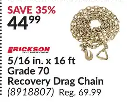 Princess Auto 5/16 in. x 16 ft Grade 70 Recovery Drag Chain offer