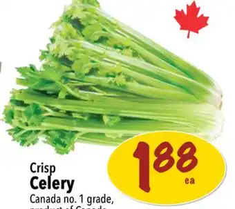 Farm Boy Crisp Celery offer