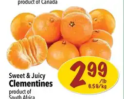 Farm Boy Sweet & Juicy Clementines offer