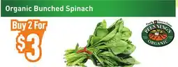 Healthy Planet Organic Bunched Spinach offer