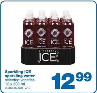 Wholesale Club SPARKLING WATER, 12 X 503 ML offer