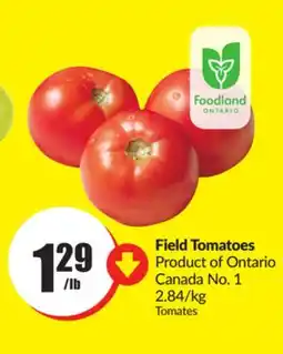FreshCo Field Tomatoes Product of Ontario Canada No. 1 offer