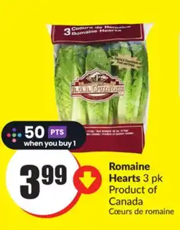 Chalo FreshCo Romaine Hearts 3 pk Product of Canada offer