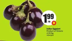 Chalo FreshCo Indian Eggplant Product of Ontario offer