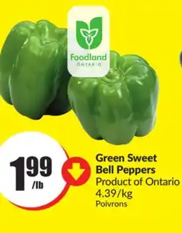 Chalo FreshCo Green Sweet Bell Peppers Product of Ontario offer