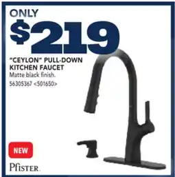 RONA PFISTER CEYLON PULL-DOWN KITCHEN FAUCET offer
