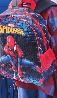 Walmart Licensed Backpack offer