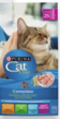 Walmart Purina Cat Chow Dry Cat Food offer