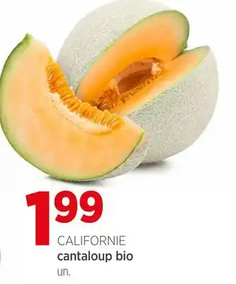 Avril cantaloup bio offer