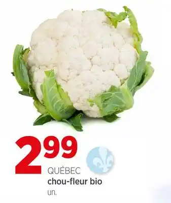 Avril chou-fleur bio offer