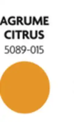 Home Hardware Patio Shield Mosquito Repellers - Citrus offer