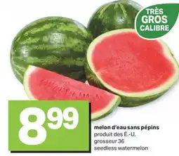 L'Intermarché MELON D'EAU SANS PÉPINS offer