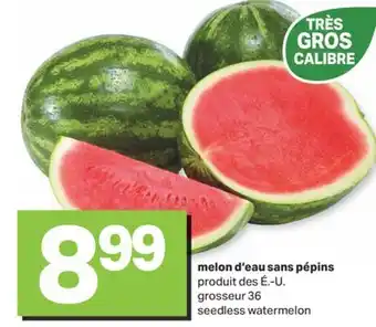 L'Intermarché MELON D'EAU SANS PÉPINS offer