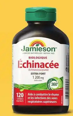 Walmart Jamieson Echinacea 120s or Garlic 300s offer