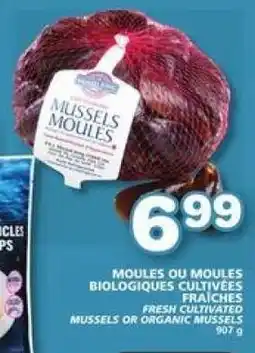 IGA FRESH CULTIVATED MUSSELS OR ORGANIC MUSSELS offer