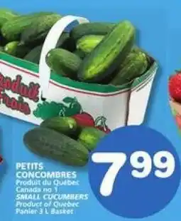 IGA SMALL CUCUMBERS offer