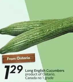 Sobeys Long English Cucumbers offer