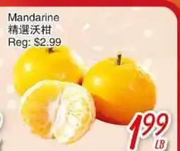 Foody Mart Mandarine offer